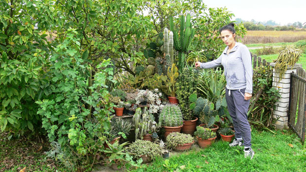 И ФОТОГРАФ И ПОЉОПРИВРЕДНИК: Милена Ерцег прави млеко и узгаја кактусе